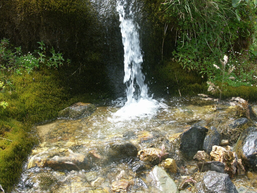 Minolta DSC